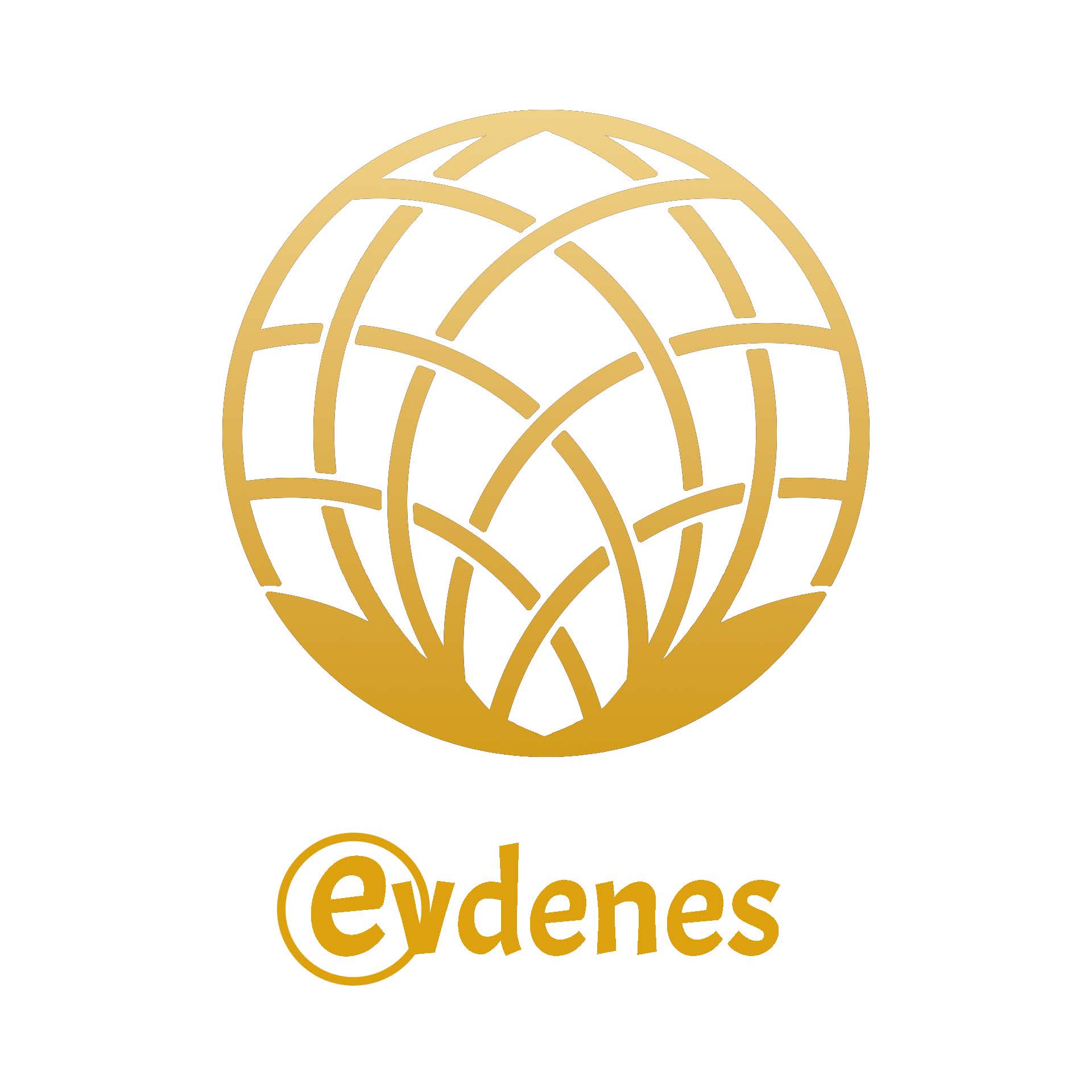 EVDENES SL